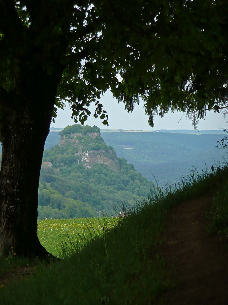 Blick zum Hohenkrhen