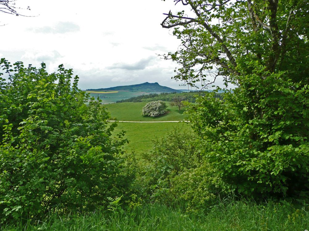 Blick zum Hohenstoffeln