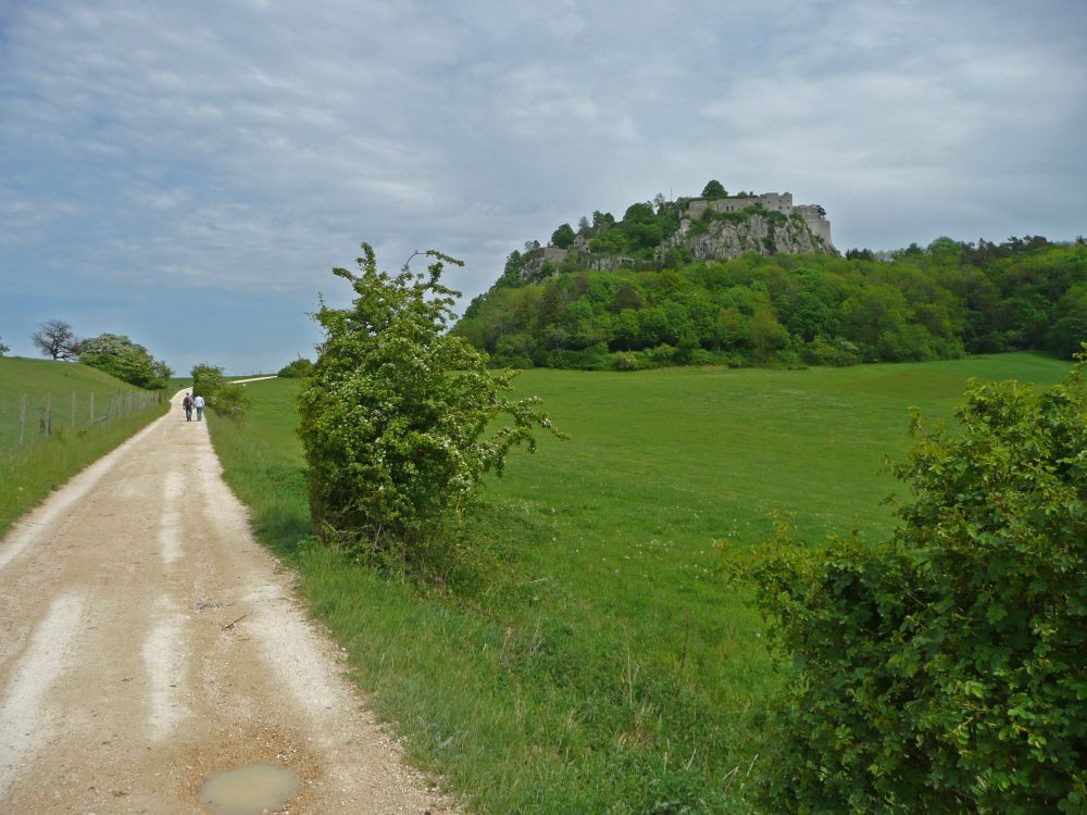 westlicher Zugang zum Hohentwiel