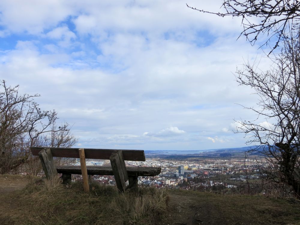 Blick über Singen bis zum Bodensee