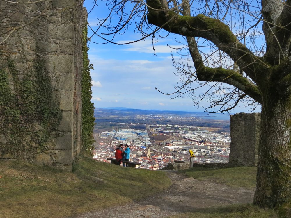 Blick über Singen