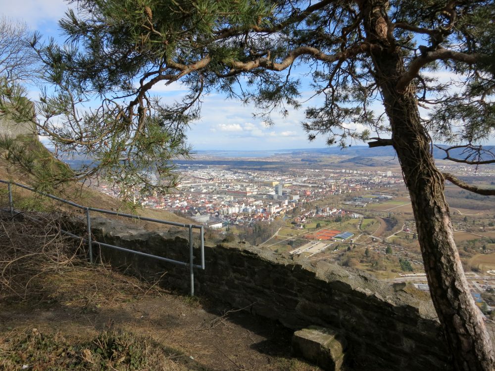 Blick über Singen zum Bodensee