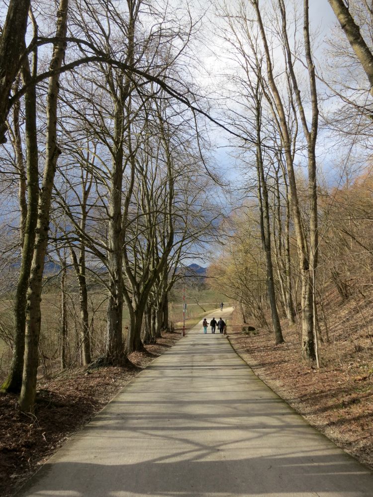 Zugangsweg zur Ruine