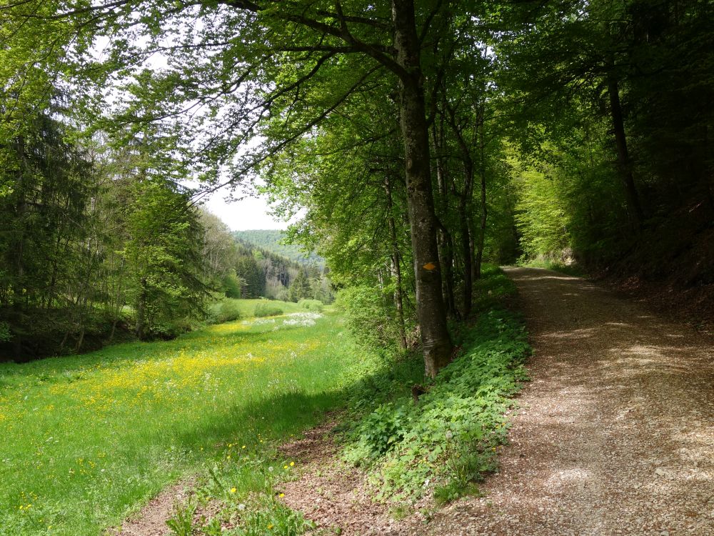 Mülital