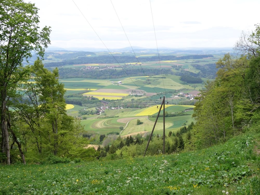 Blick vom Randenhof