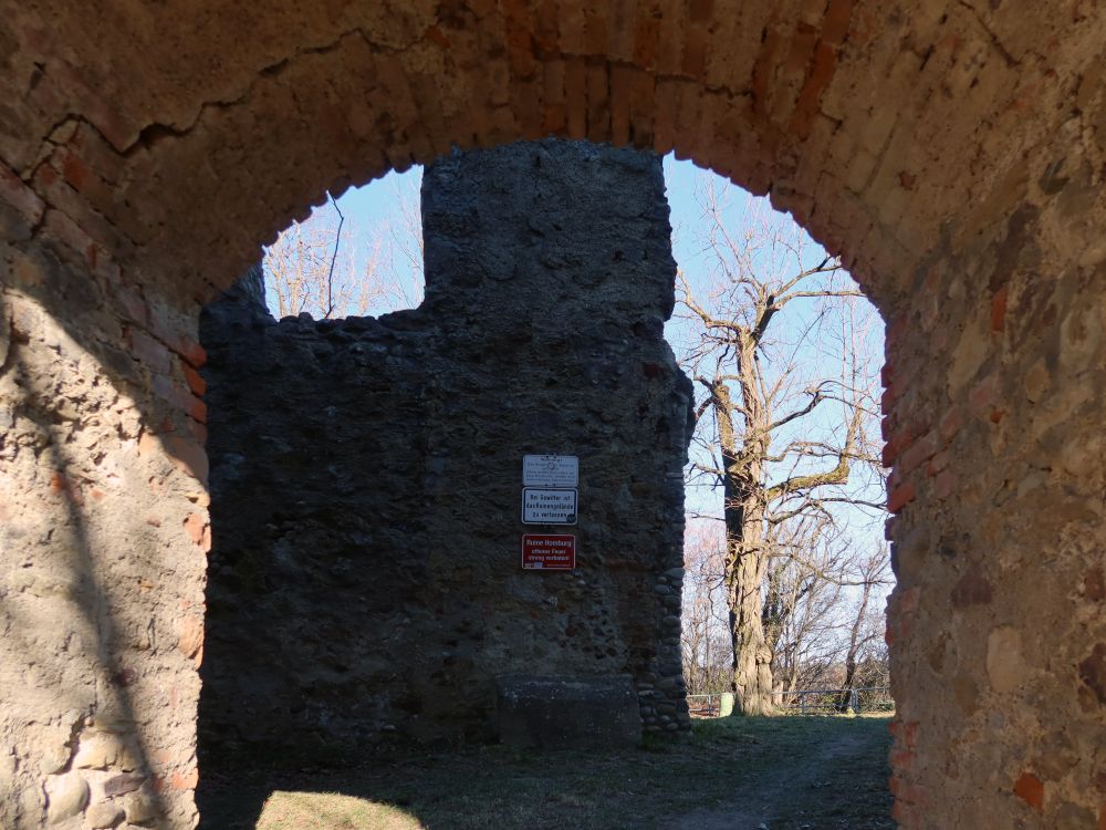 Ruine Homburg