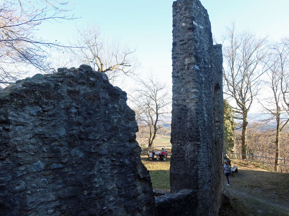 Ruine Homburg