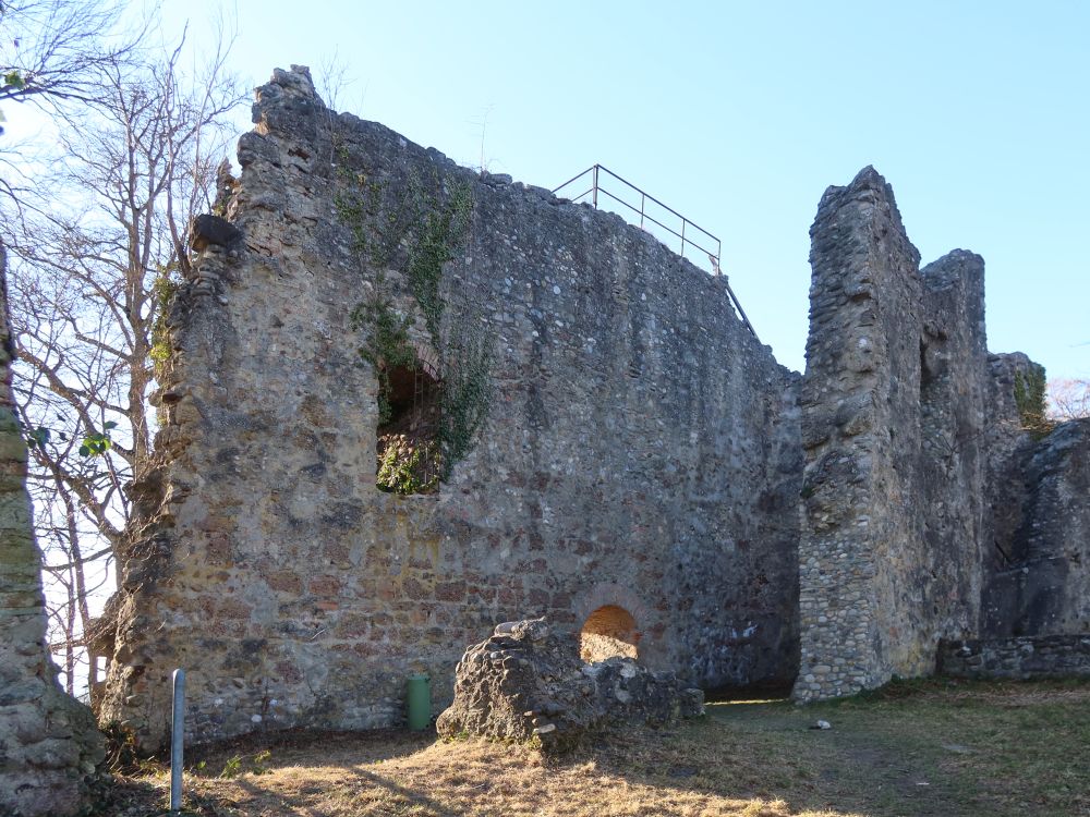 Ruine Homburg