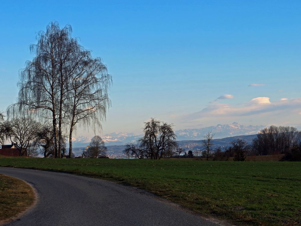 Alpenblick