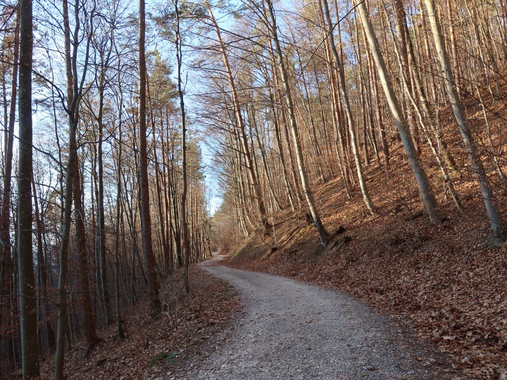 Tiegenhaldenweg