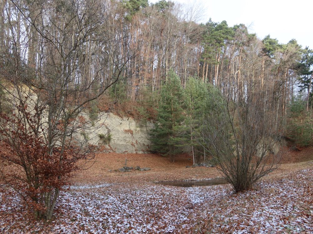 Kiesgrube Weerswilen