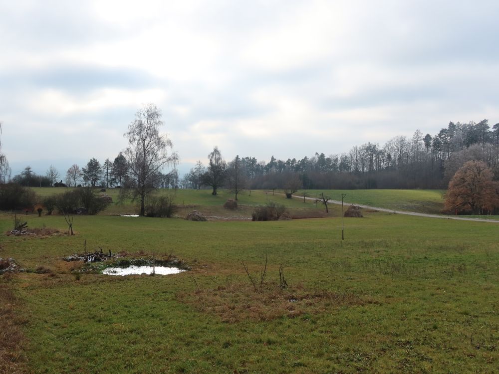 Landschaft mit Teich