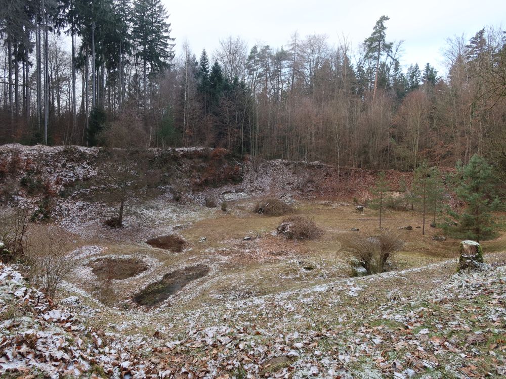 Kiesgrube Schatzloch