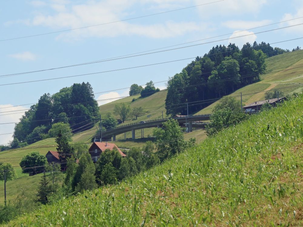 Bahnlinie bei Allenwinden