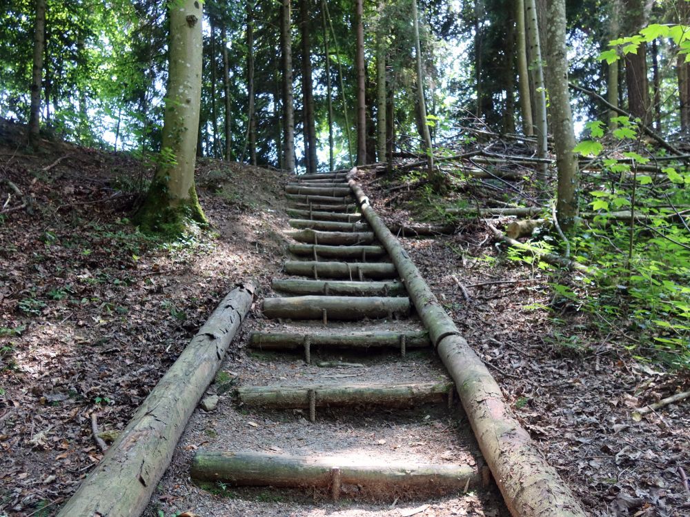 Treppe im Bachtobel