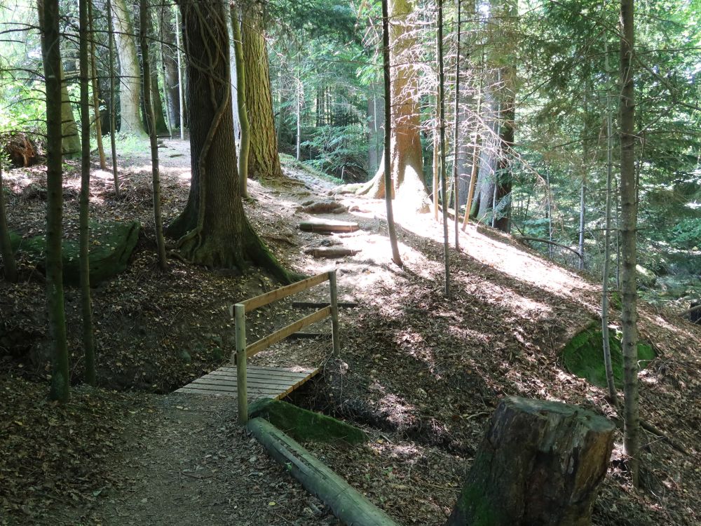 Holzsteg im Bachtobel