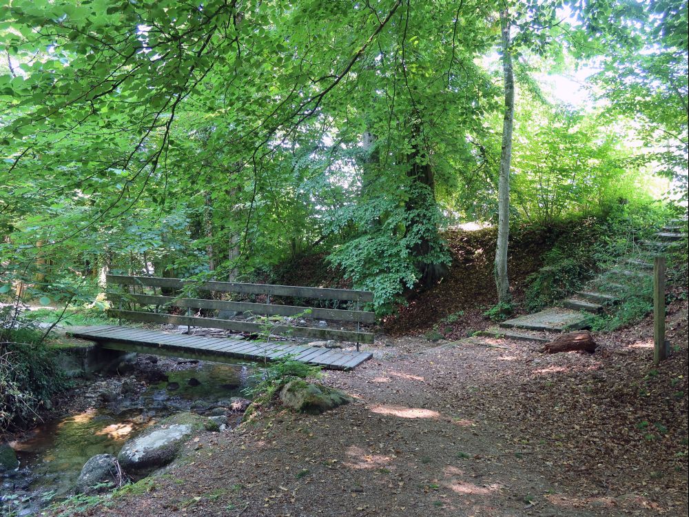 Treppe und Holzsteg