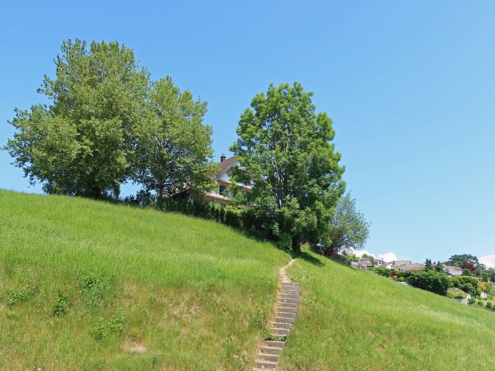 Treppe bei Oswäldi