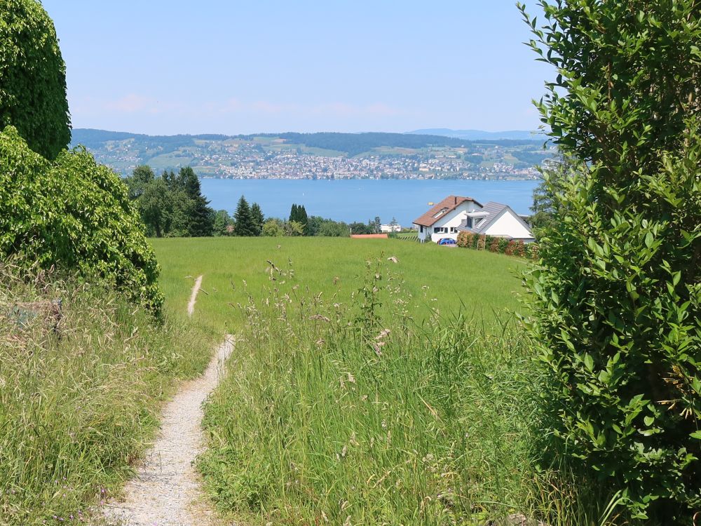 Wiesenpfad und Zürichsee