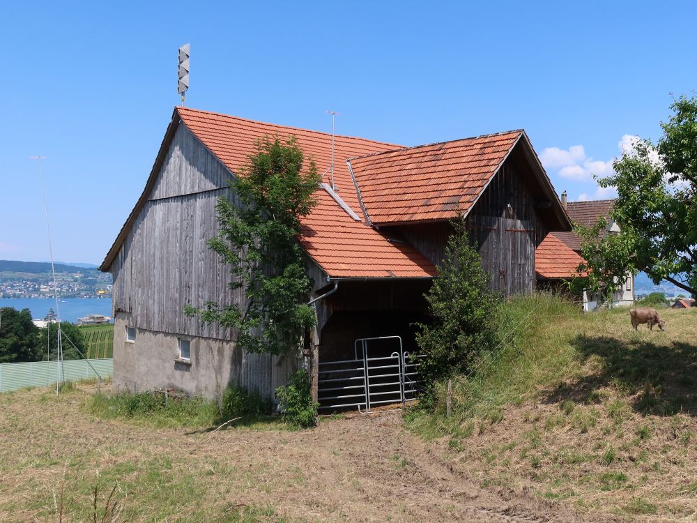 Scheune bei Altenbach