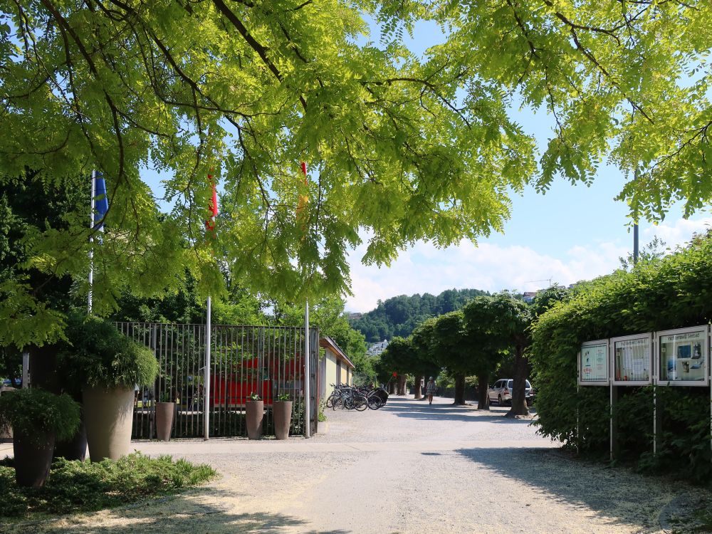 Strandweg beim Seebad