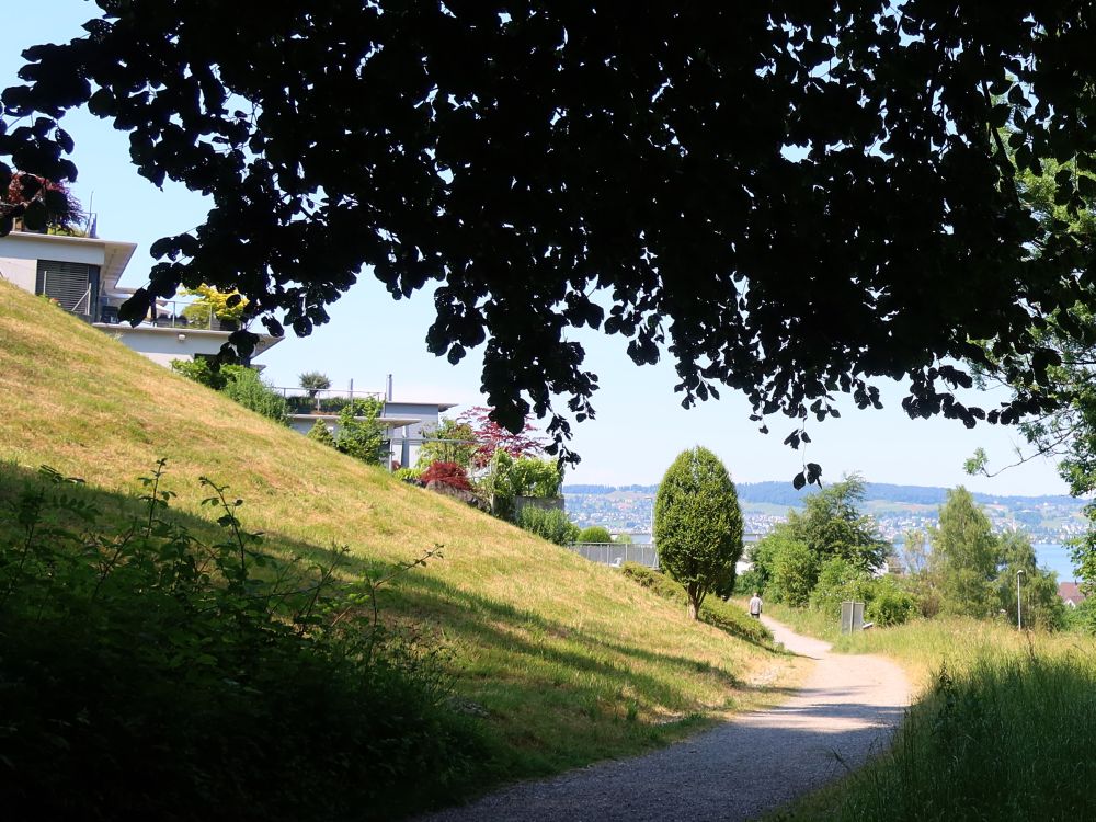 Terrassenhäuser am Mülitobelweg