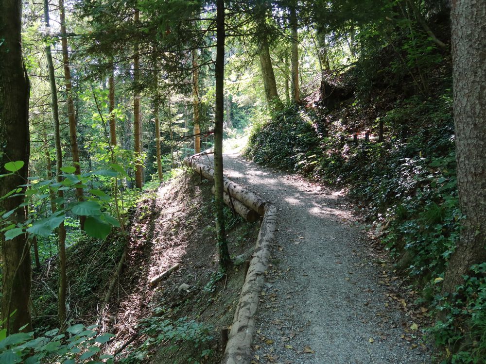 Mülitobelweg