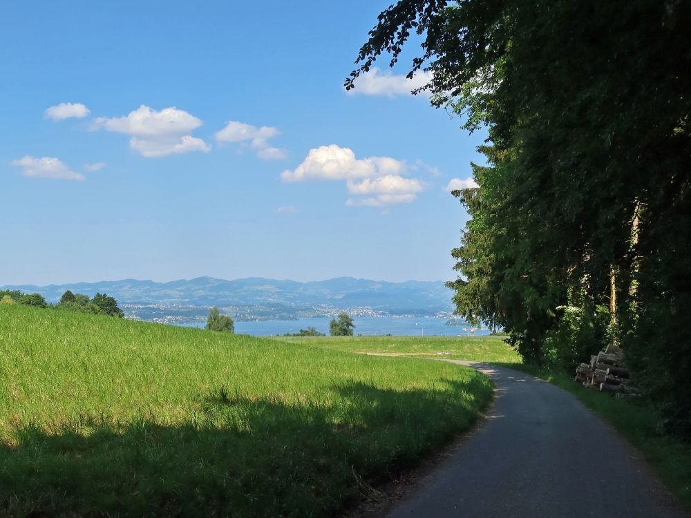 Blick zum Zürichsee