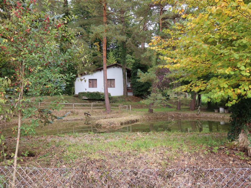 Häuschen am Teich