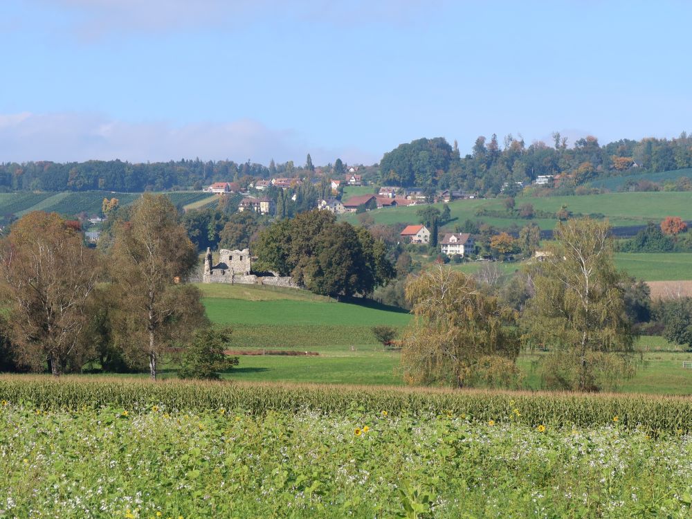 Ruine Helfenberg