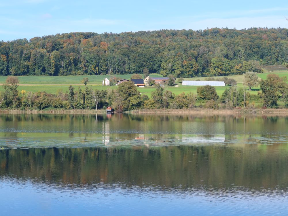 Hüttwilersee