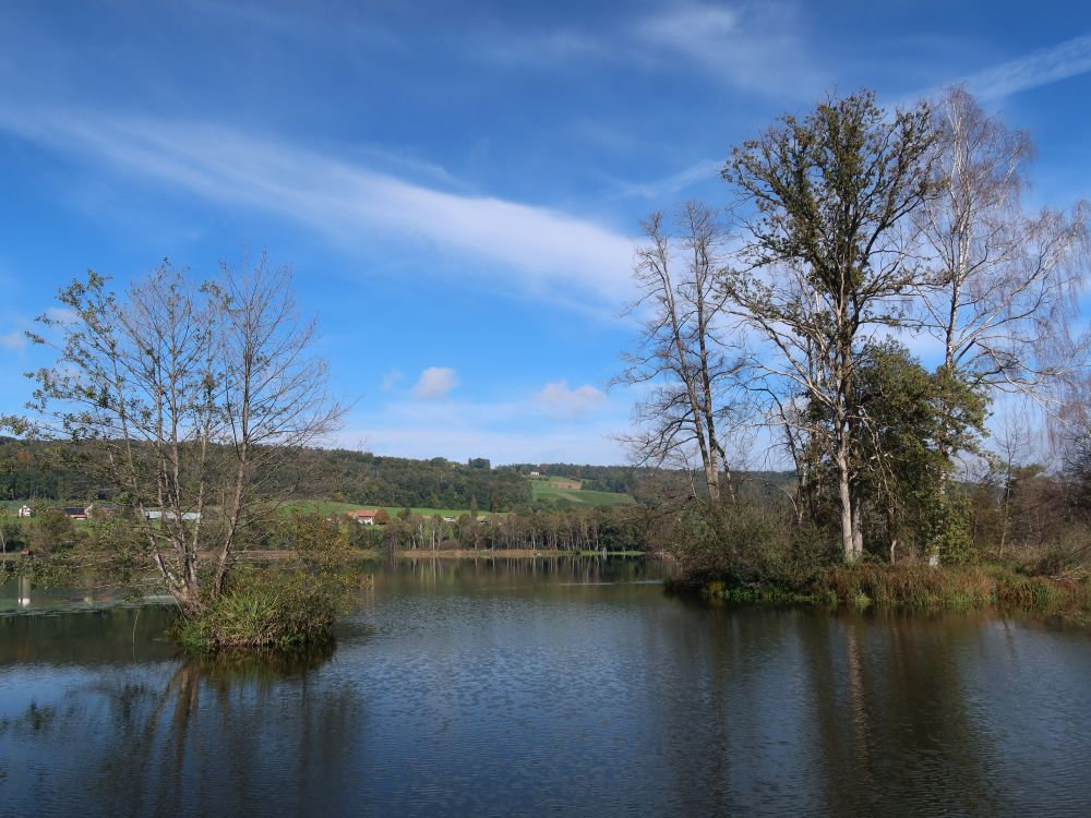 Hüttwilersee