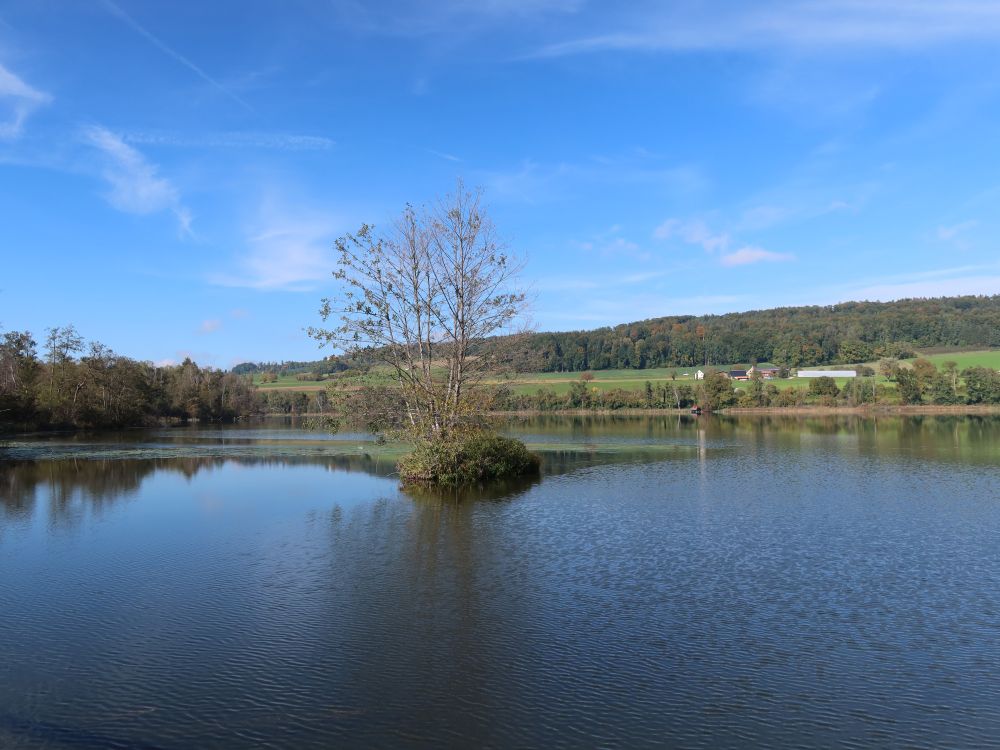 Hüttwilersee