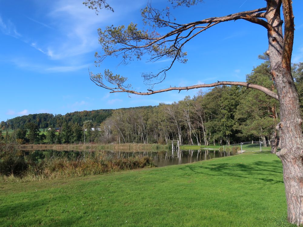 Strandbad am Hüttwilersee