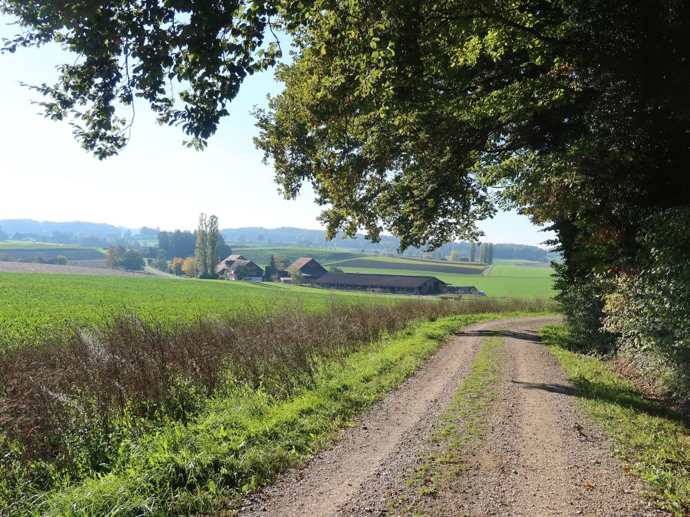 Bauernhof Hub und Weg am Waldrand