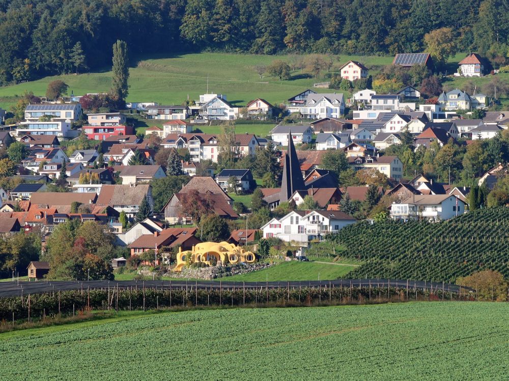 Hüttwilen mit Erdhaus (gelb)