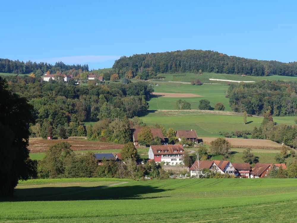 Neumühle und Kalchrain am Berg