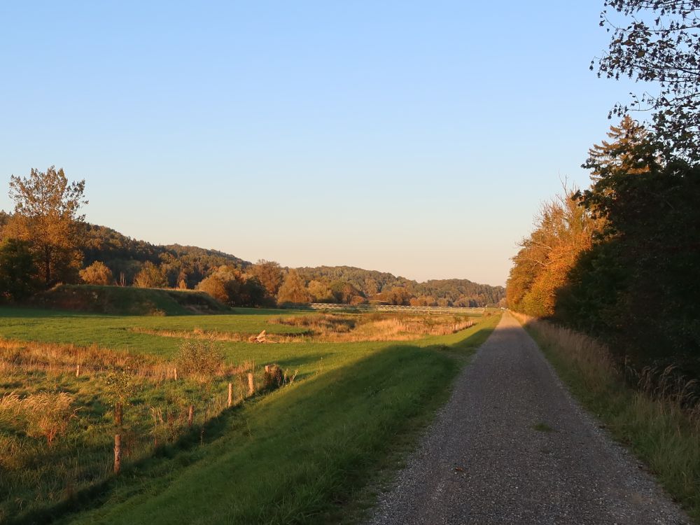 Thurweg im Abendlicht