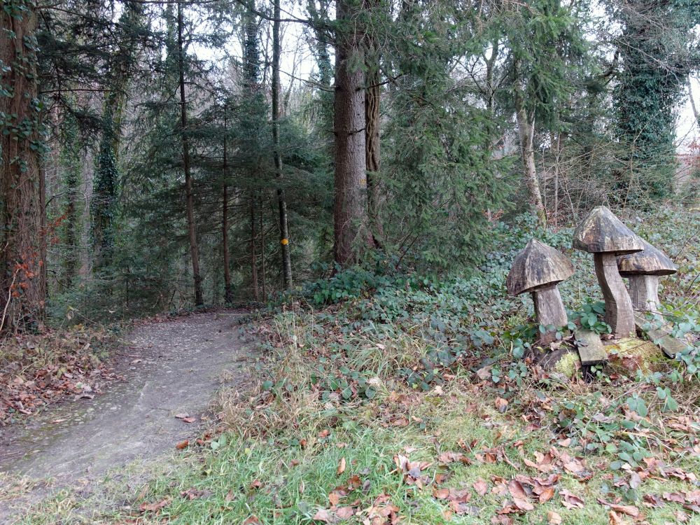 Wanderweg und Holzpilze