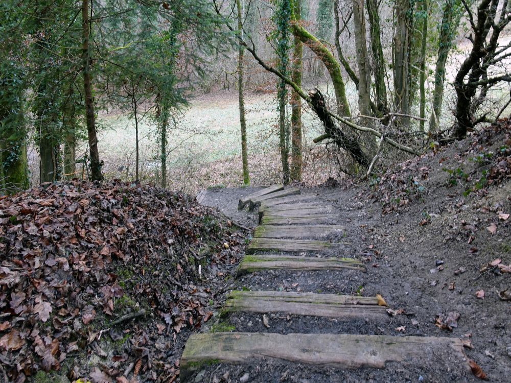 Holztreppe