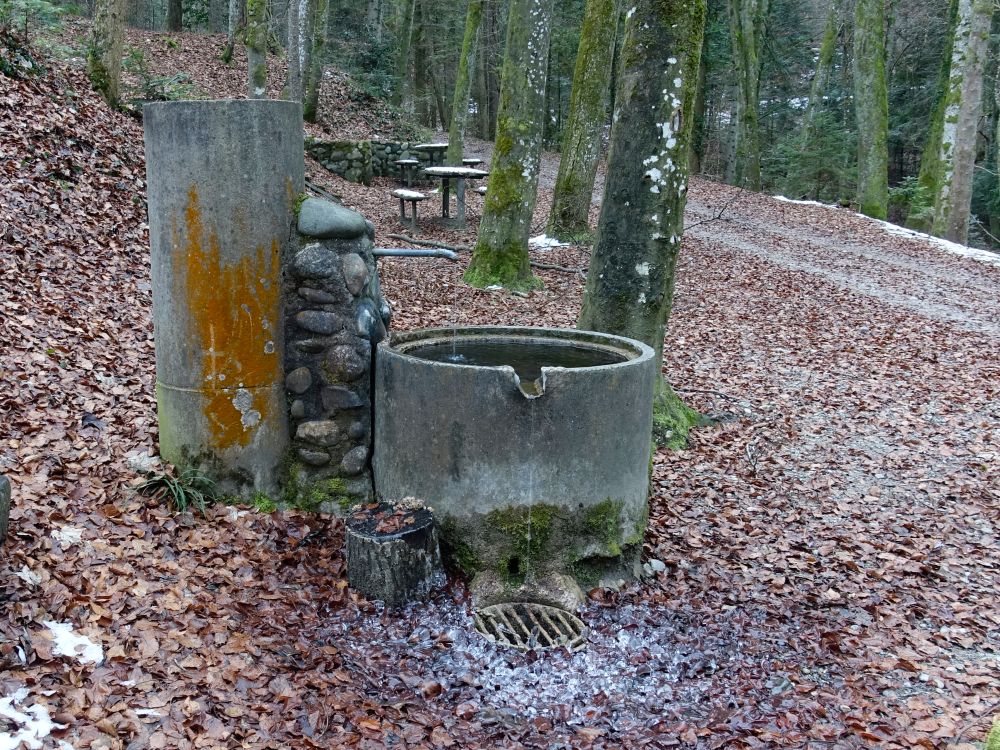 Brunnen im Wald