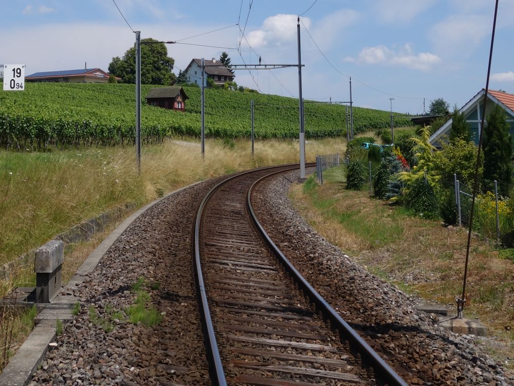 Gleise und Weinberg bei Ossingen