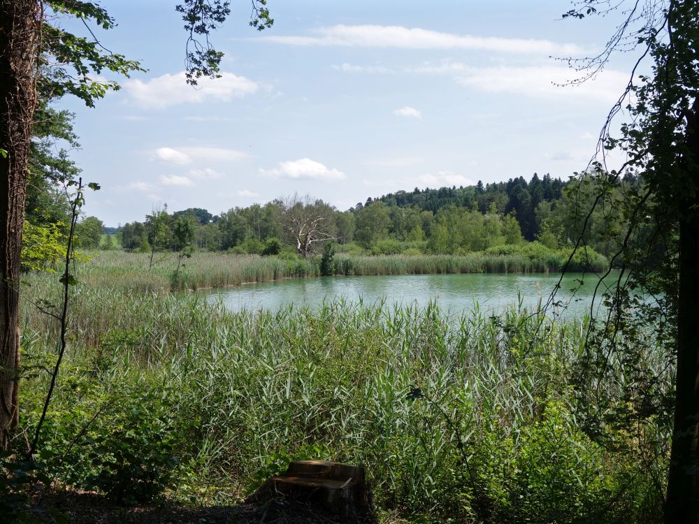 Husemer See