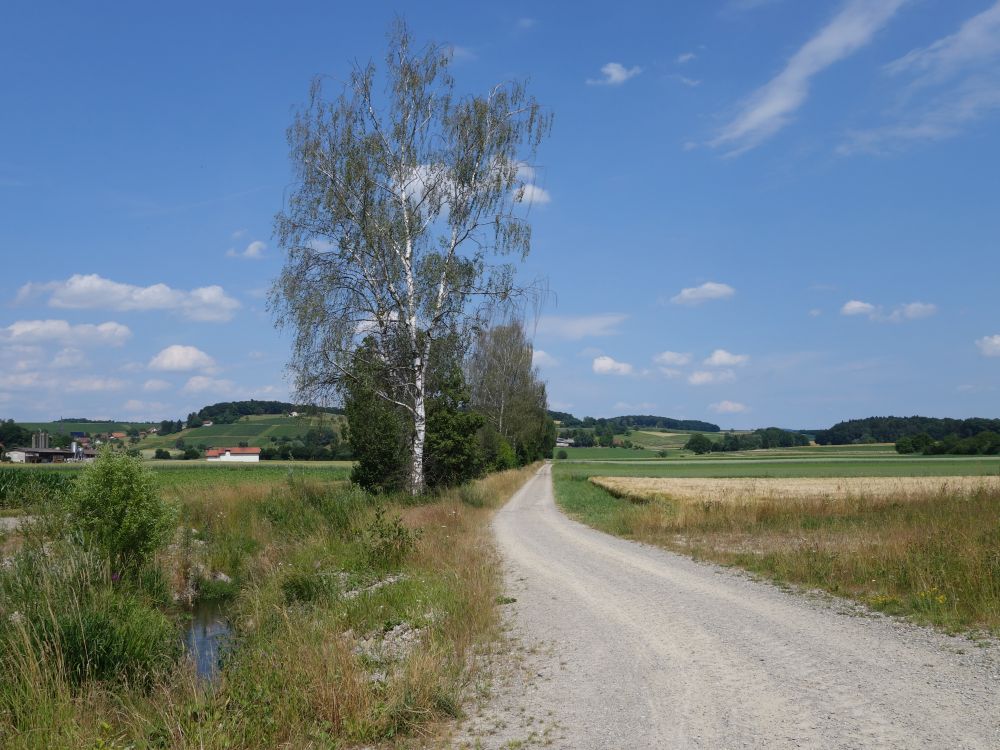 Weg bei Oerlingen