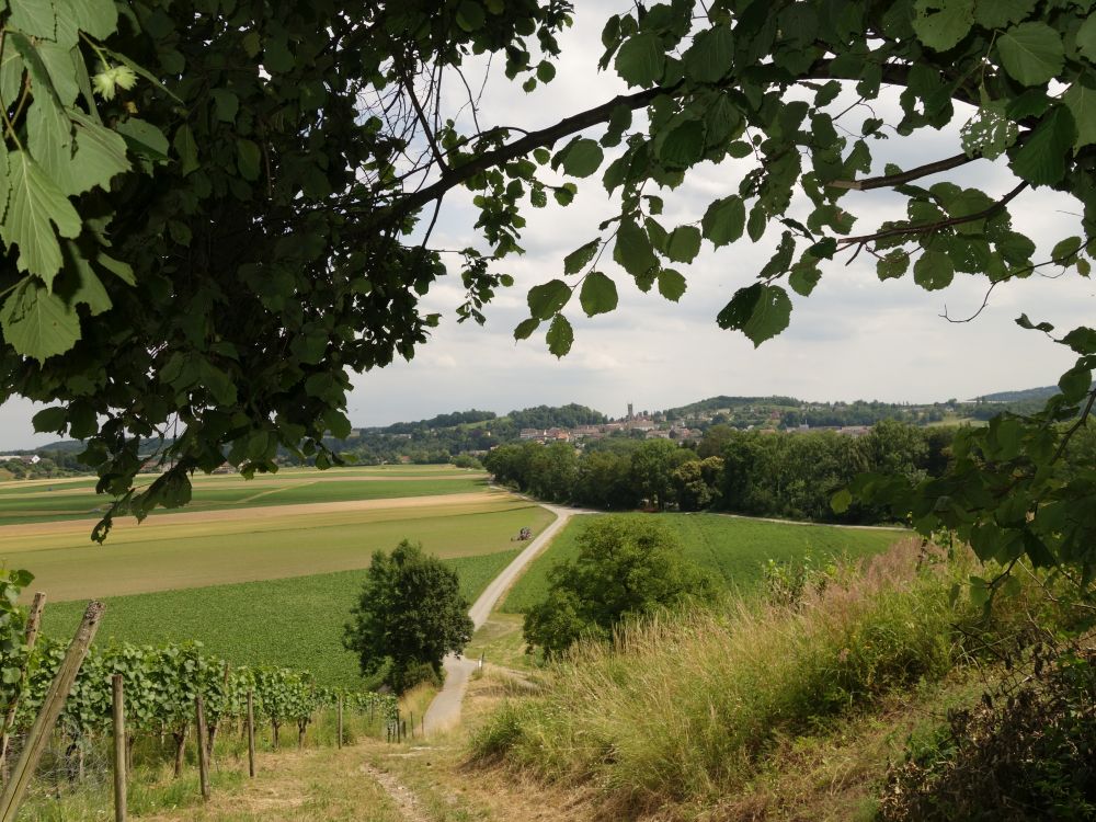 Blick Richtung Kleinandelfingen