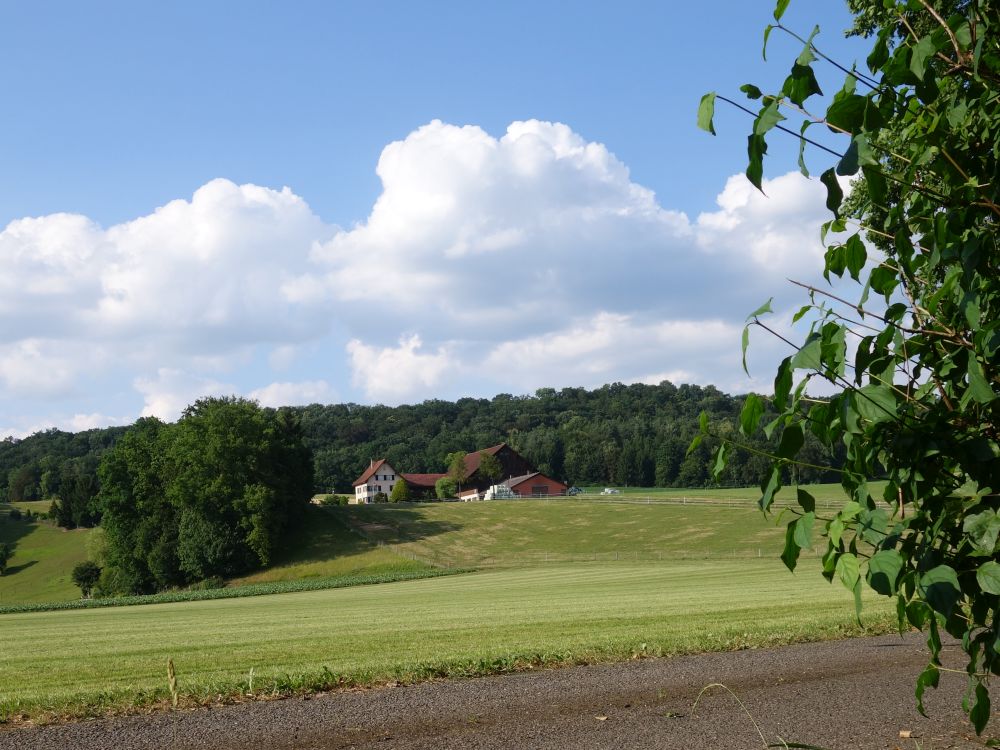 Blick auf Egli