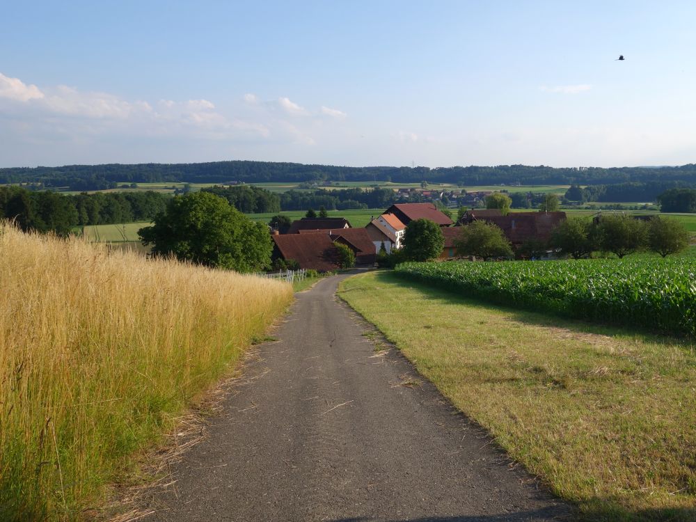 Blick auf Burghof