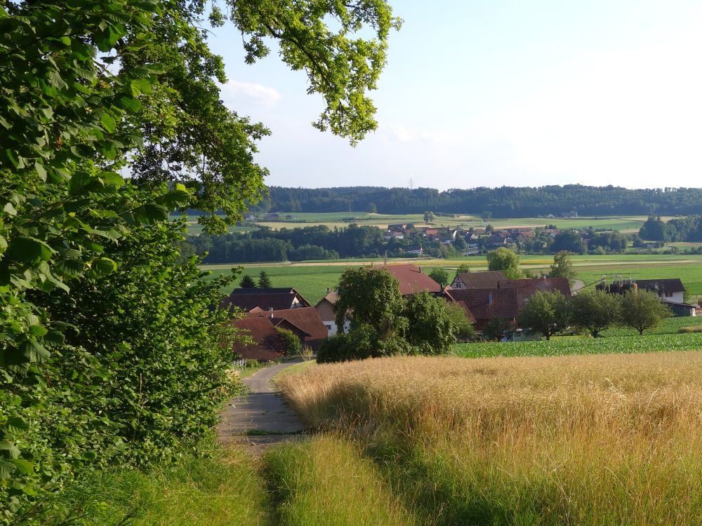 Blick auf Burghof