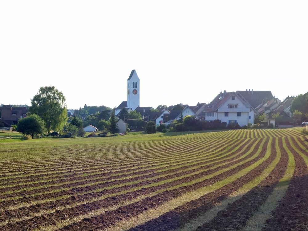 Blick auf Ossingen