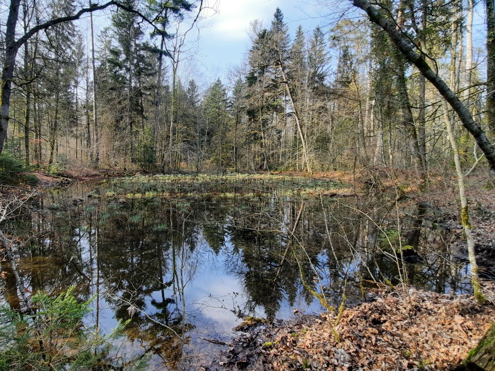 Teich am Neuweg